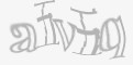 安全码
