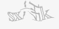 安全码