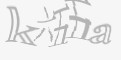 安全码