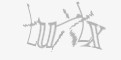 安全码