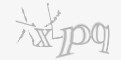 安全码