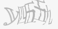 安全码