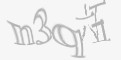 安全码