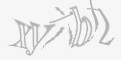 安全码