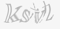 安全码