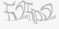 安全码