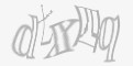 安全码
