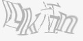 安全码