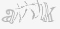 安全码