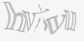 安全码
